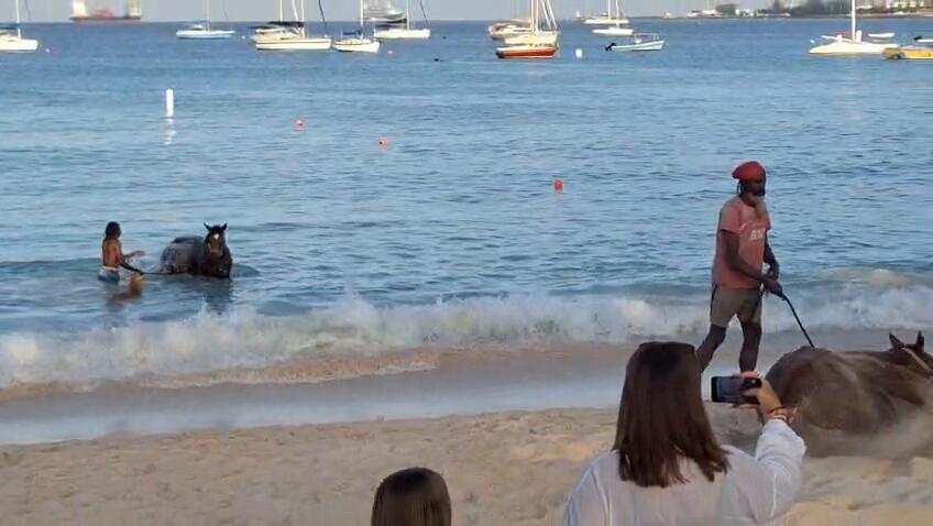 Brownes Beach Barbados